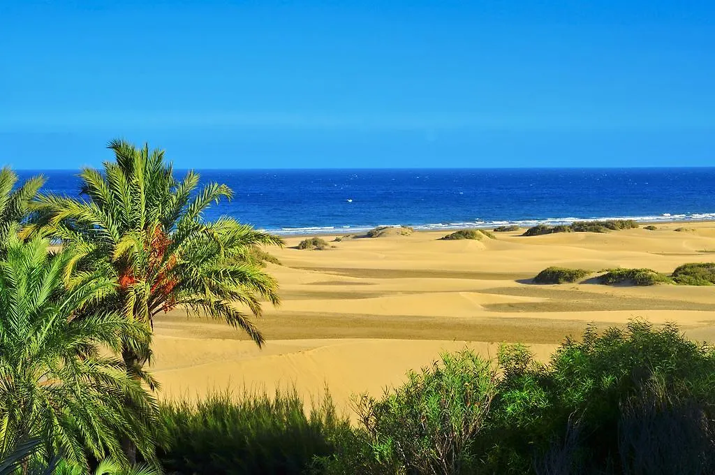 Oasis Playa Maspalomas Maspalomas (Gran Canaria)